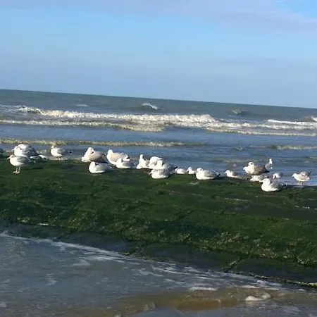 Westend Palace Middelkerke
